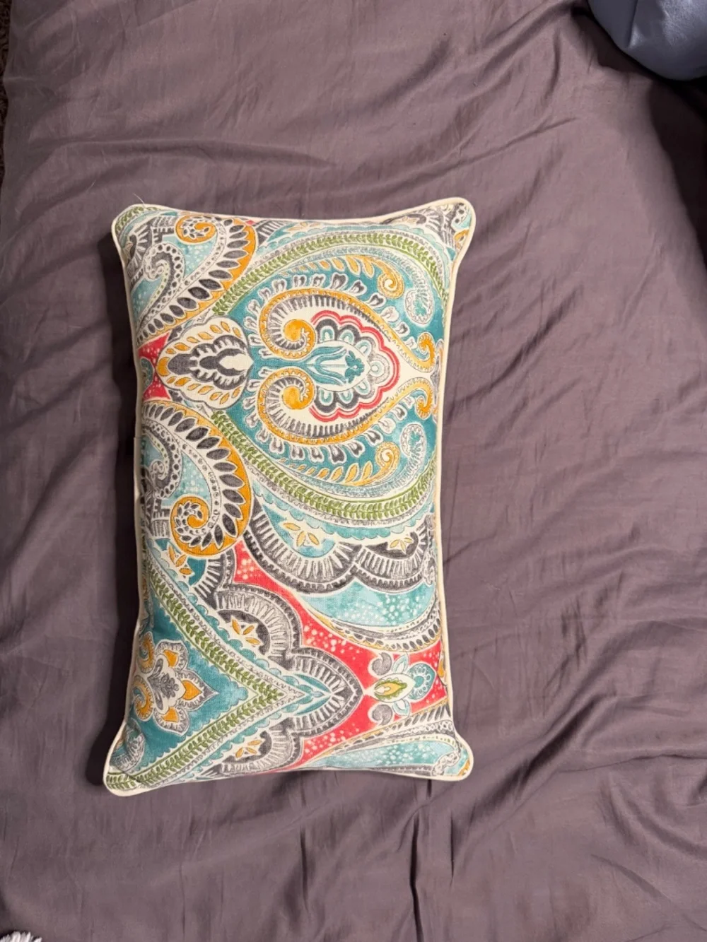 Decorative pillows 2 pack
